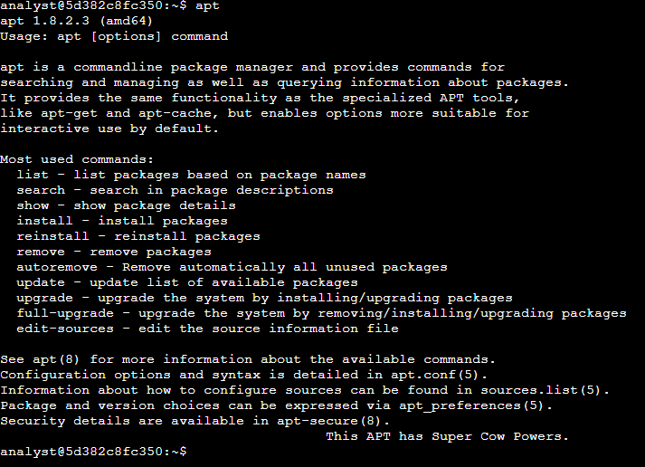 APT command output in Linux terminal